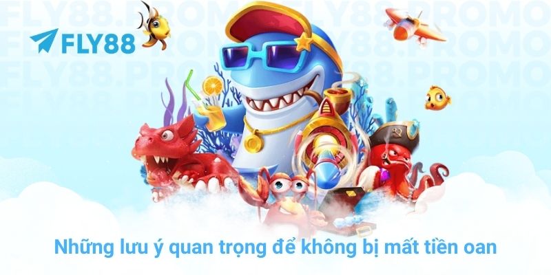 Những lưu ý quan trọng để không bị mất tiền oan